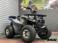 Квадроцикл GBM DAXTER 220 NEW PREMIUM