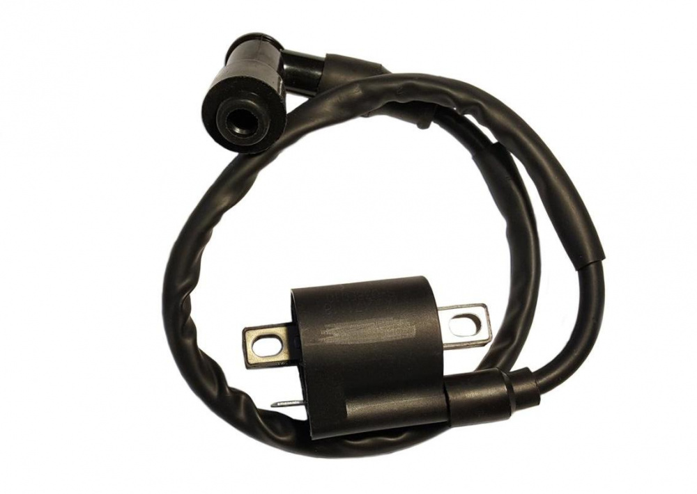 Катушка зажигания со свечным колпачком 4Т 164FML, 166FMM Racer RC200-250GY-C2 Panther