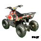 Квадроцикл MZ Grizzly 110