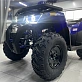 Квадроцикл PROMAX WILD 300