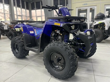 Квадроцикл PROMAX WILD 300