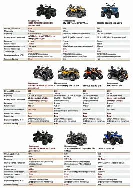 Квадроцикл AODES PATHCROSS MAX 650 LCD, двухместный