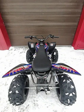 Квадроцикл PROMAX RAPTOR 320 RedBull