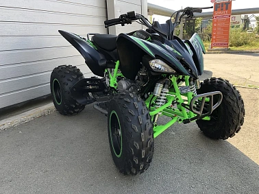 Квадроцикл PROMAX RAPTOR 320 Monster