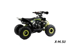 Квадроцикл MOTOLAND (МОТОЛЕНД) 110 RAPTOR A