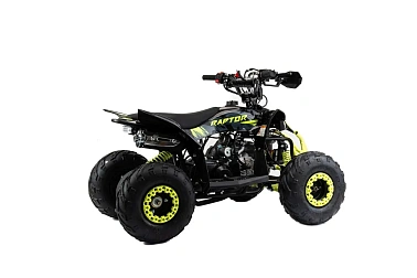 Квадроцикл MOTOLAND (МОТОЛЕНД) 110 RAPTOR A
