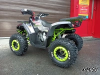 Квадроцикл PROMAX STORM 190 LUX