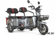 Трицикл ELTRECO Rutrike Экипаж