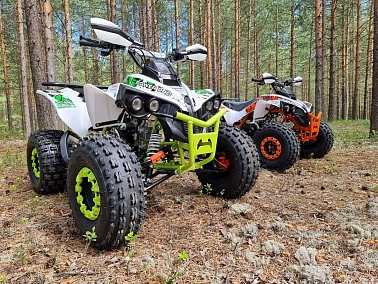 Квадроцикл PROMAX SCORPION 180