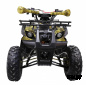 Квадроцикл ATV Termit TT