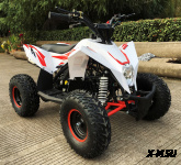 Детский квадроцикл бензиновый MOTAX GEKKON 90 cc 1+1 (Реверс)