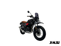 Мотоцикл TMBK FAHRENHEIT 250 (165 FMM)