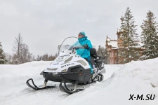 Снегоход STELS СТАВР MS 700 WT 4T
