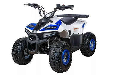 Квадроцикл Yacota Raposa 130 PRO-SPORT