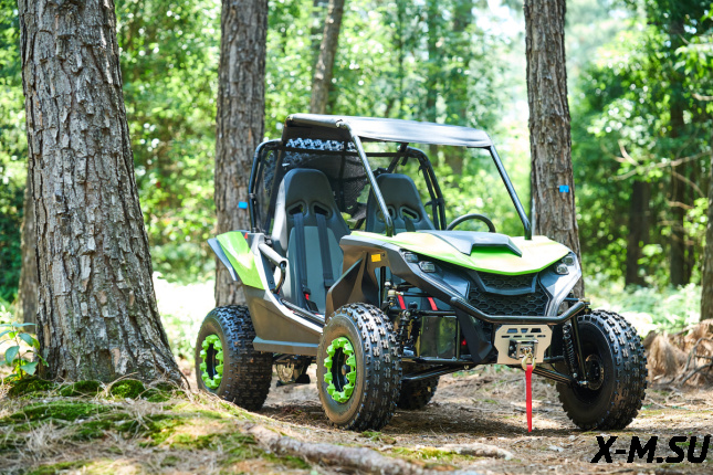 Багги UTV PROMAX Ranger 250 EFI