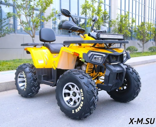 Квадроцикл MOTOLAND (МОТОЛЕНД) VOX200 WILD TRACK X PRO (баланс. вал)