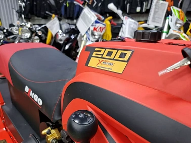 Снегоход IRBIS DINGO T200 25/26