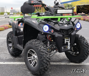 Квадроцикл PROMAX RENEGADE 300 WINCH PRO