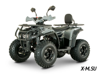 Квадроцикл YACOTA DRAGON LUX LD 150 PRO-SPORT