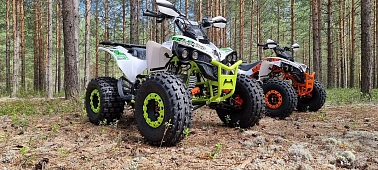 Квадроцикл PROMAX SCORPION 180