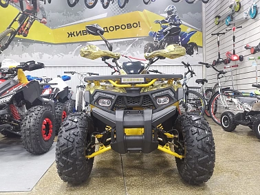 Квадроцикл PROMAX STORM 190 PRO