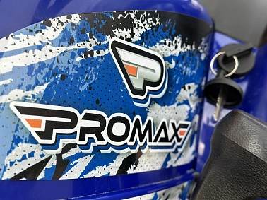Квадроцикл PROMAX ATV 250 MAX