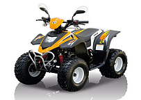  Запчасти для квадроцикла STELS ATV 100 C