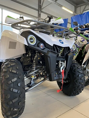 Квадроцикл PROMAX RENEGADE 300 WINCH