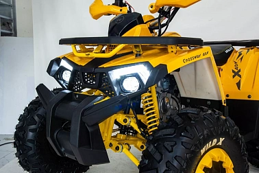 Квадроцикл MOTOLAND (МОТОЛЕНД) 125 WILD X А