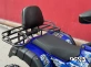 Квадроцикл PROMAX ATV 250 MAX