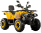 Квадроцикл MOTOLAND (МОТОЛЕНД) VOX200 WILD TRACK X (баланс. вал)