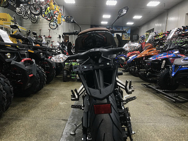 Мотоцикл Regulmoto ALIEN MONSTER 300