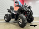 Квадроцикл PROMAX ATV 250 MAX