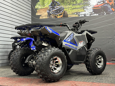 Квадроцикл GBM DAXTER 220 PREMIUM