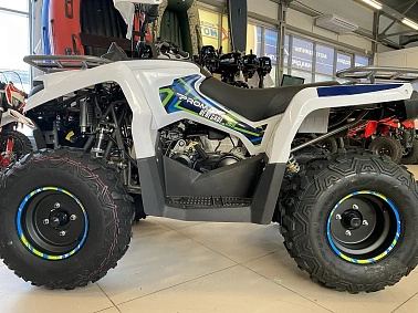 Квадроцикл PROMAX RENEGADE 300 WINCH