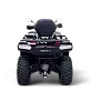 Квадроцикл Bizon YK450A EPS ПТС